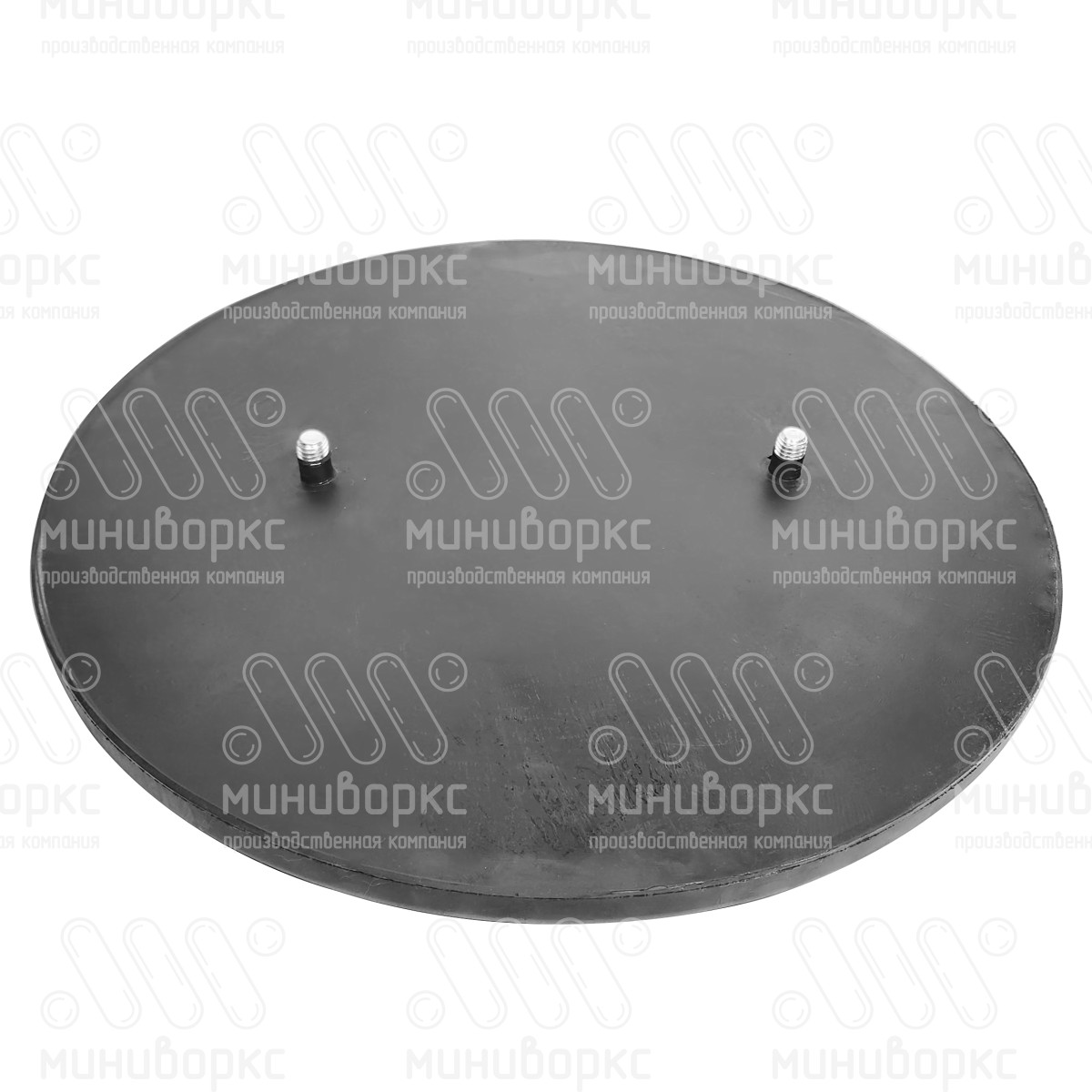 Армированный прорезиненный диск Ø390 мм для тренажёров, цвет черный – ДР390ЧМ - 2